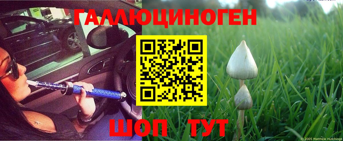 Псилоцибиновые грибы мухоморы Владикавказ
