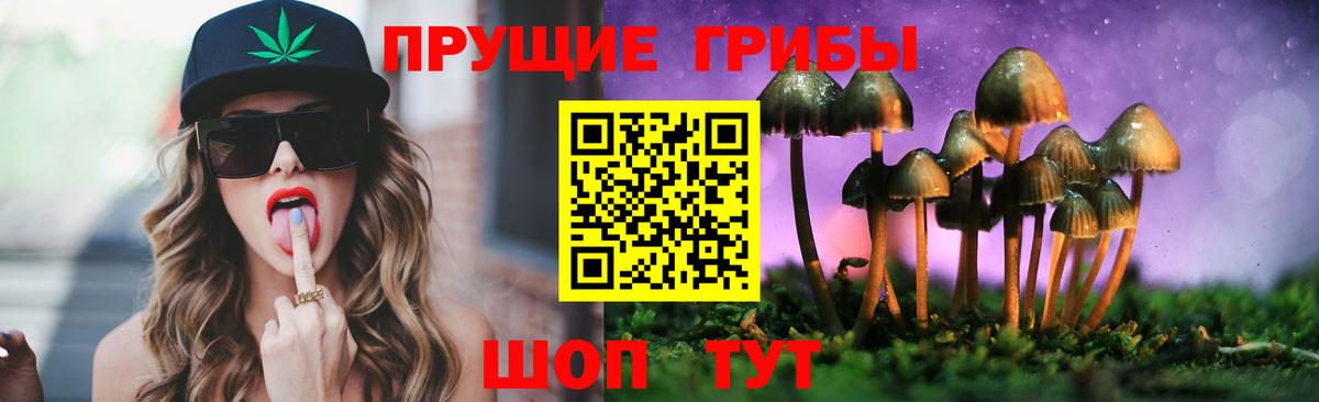 Псилоцибиновые грибы Psilocybine cubensis  Вход с VPN  Владикавказ  Галлюциногенные грибы Psilocybine cubensis 