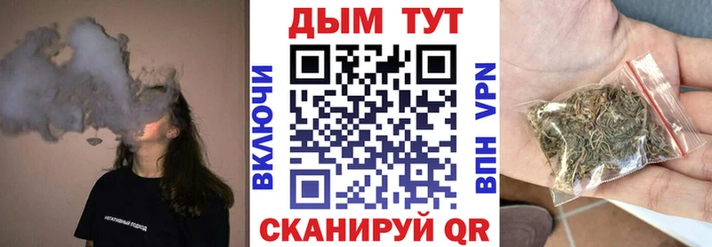 Бошки марихуана сатива продажа наркотиков Владикавказ